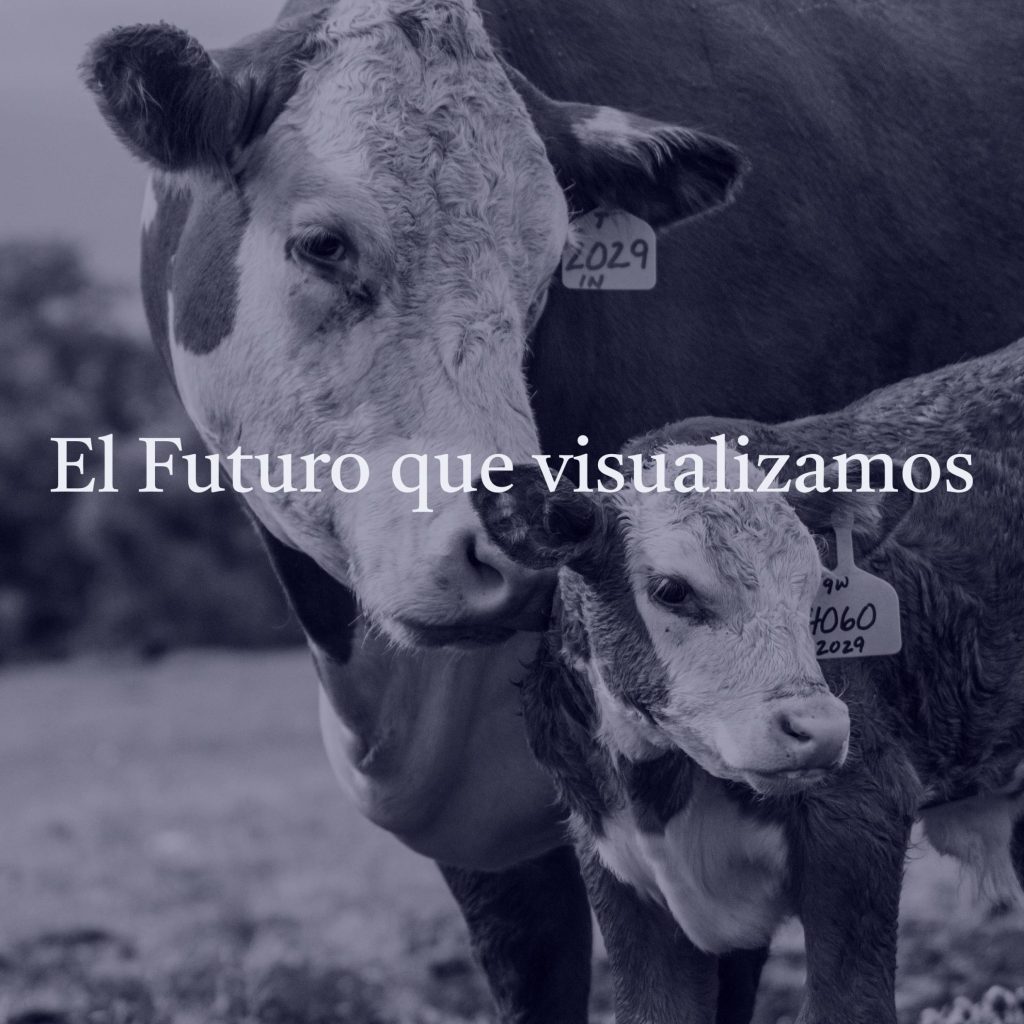 elfuturo 2