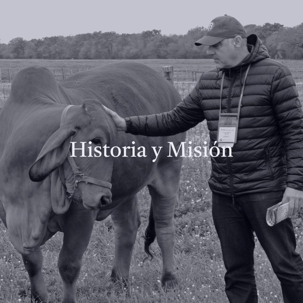 historiaymision 4