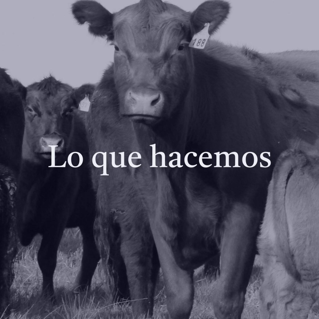 loquehacemos 2